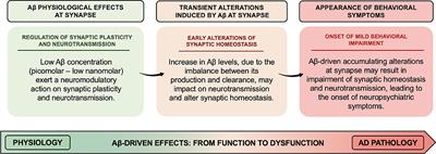 (Dys)regulation of Synaptic Activity and Neurotransmitter Release by β-Amyloid: A Look Beyond Alzheimer's Disease Pathogenesis